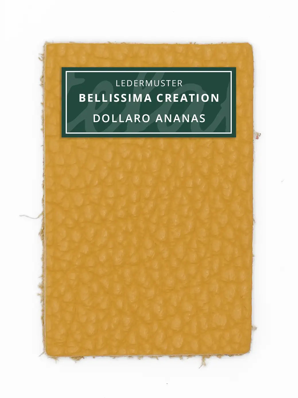 Bellissima Creation Geldbörse One 025/P