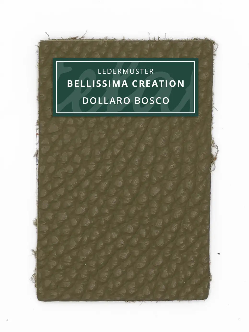Bellissima Creation Geldbörse One 025/P