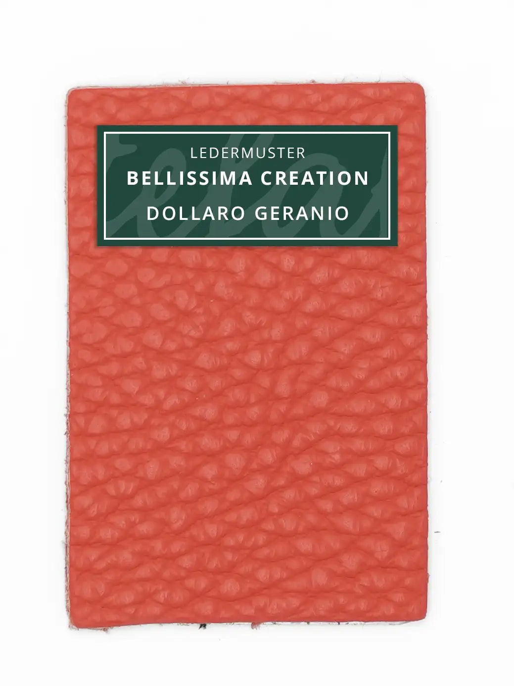 Bellissima Creation Geldbörse One 025/P