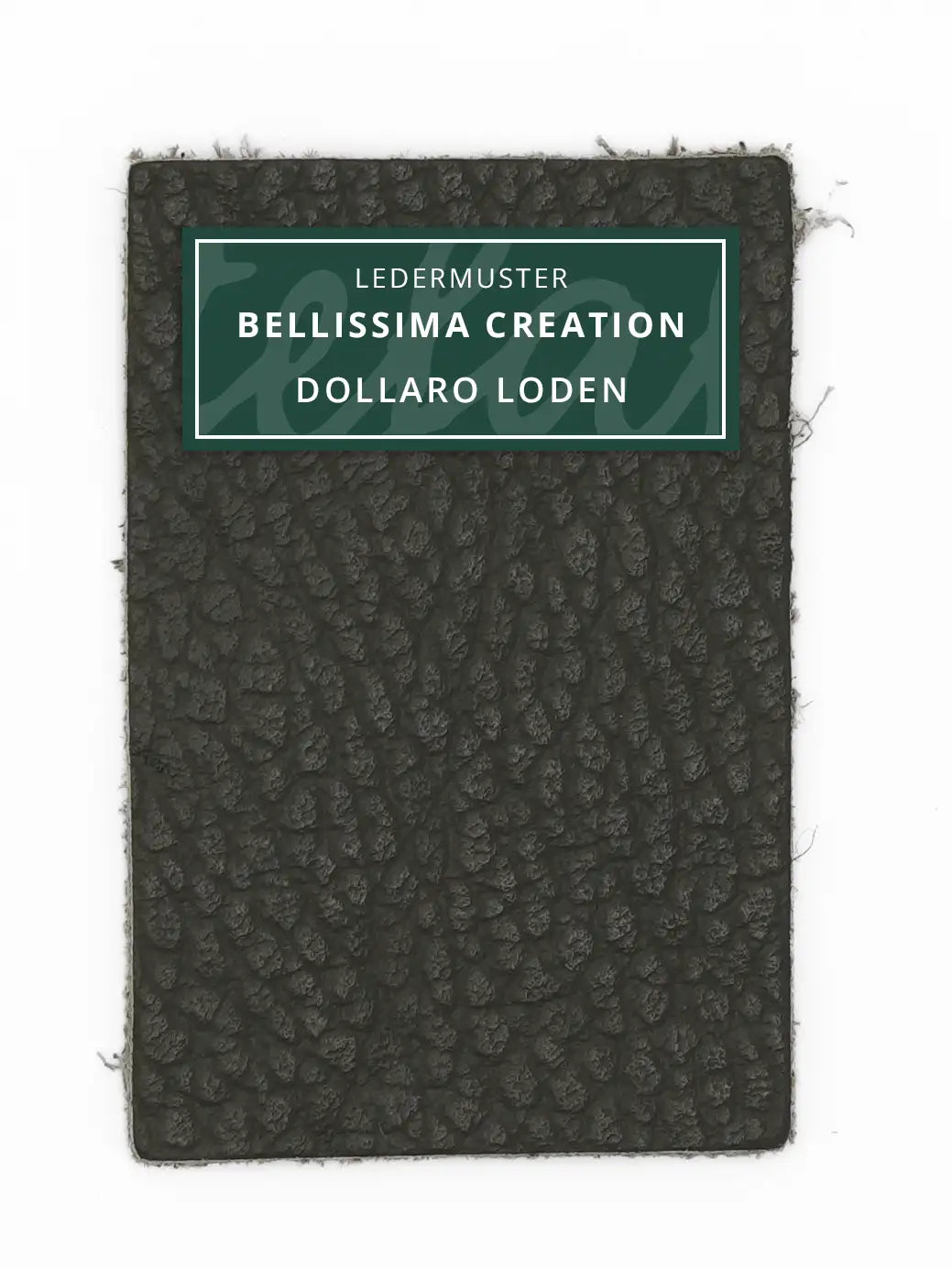 Bellissima Creation Geldbörse One 025/P