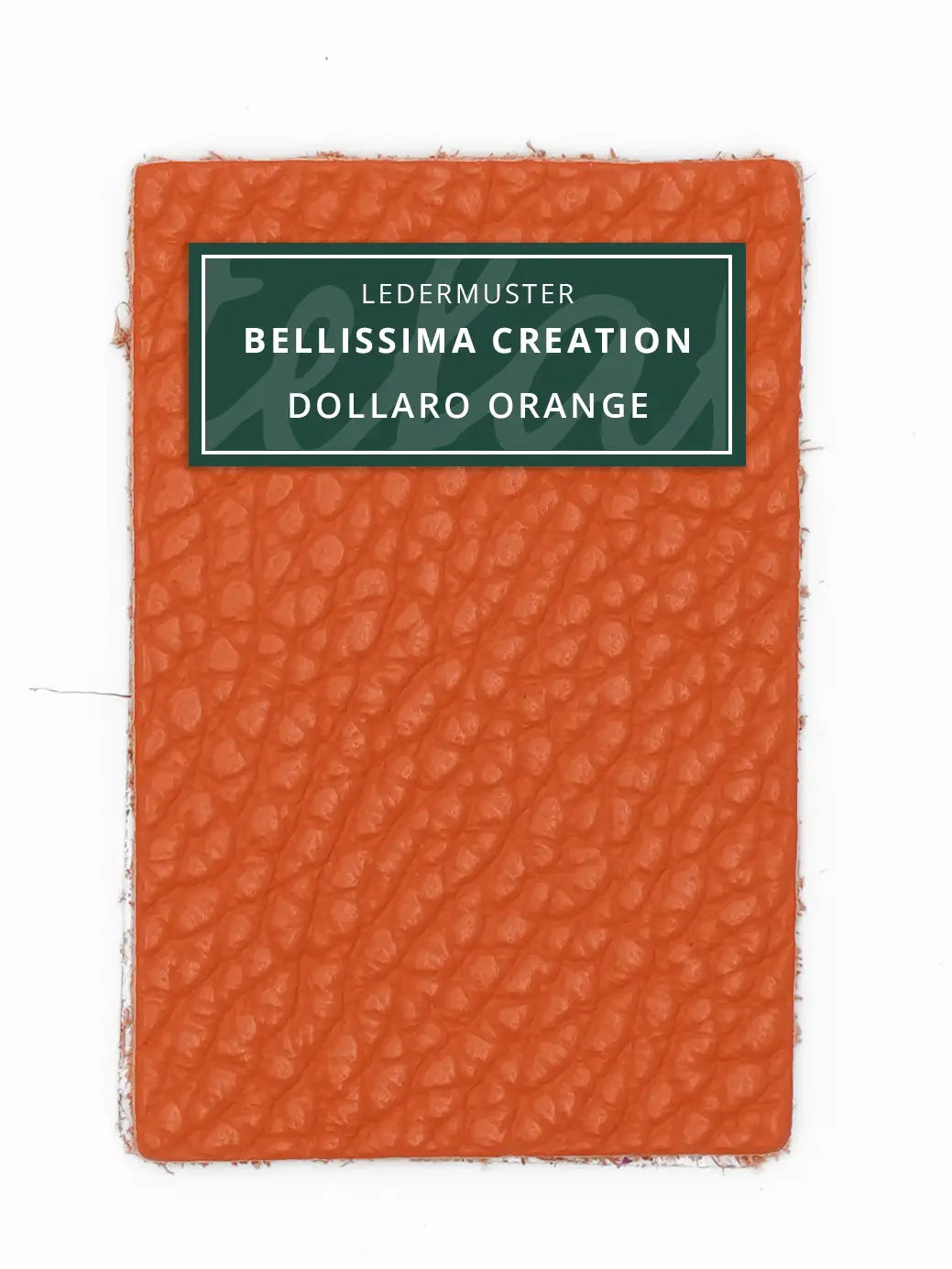 Bellissima Creation Geldbörse One 025/P