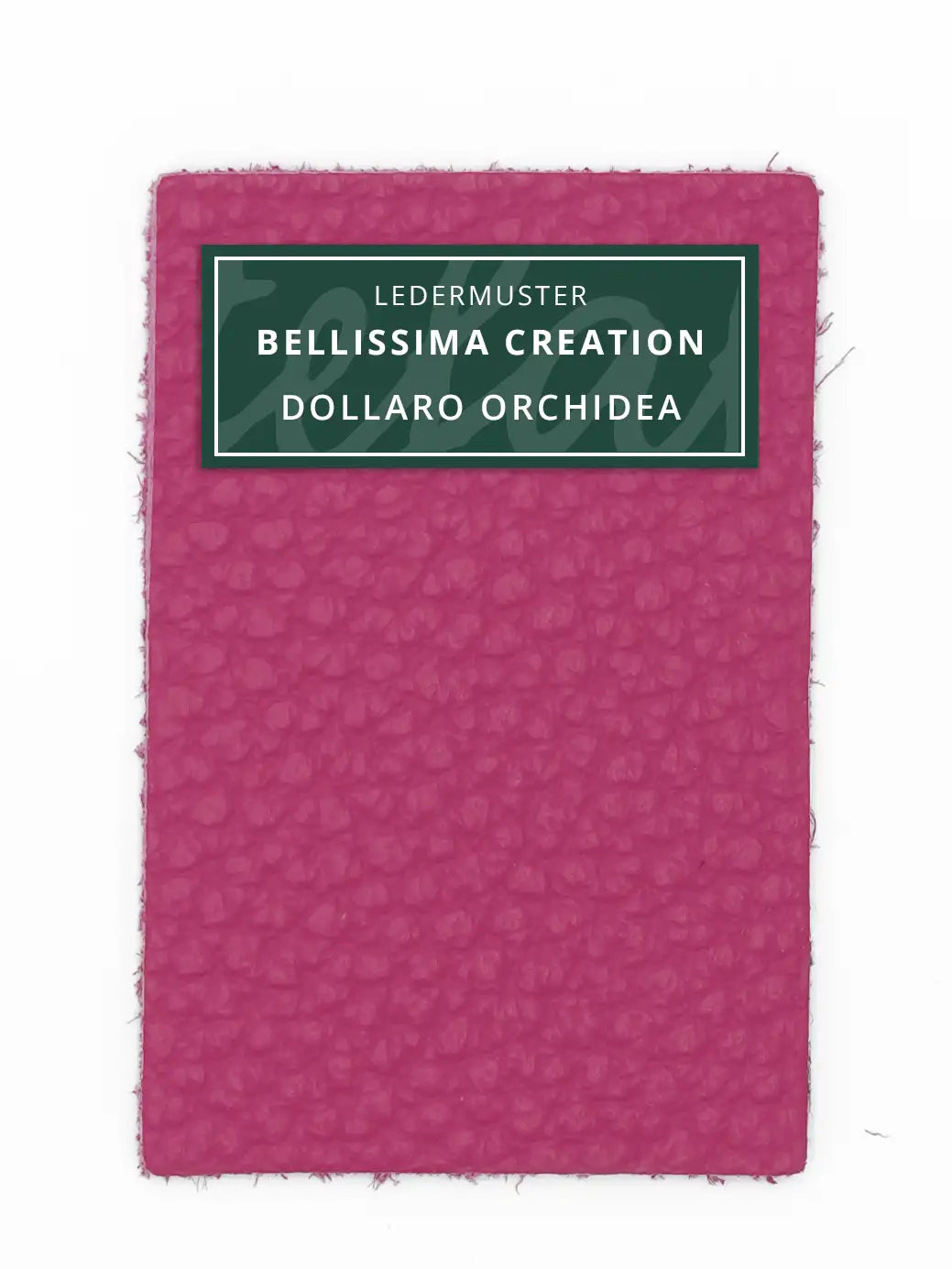 Bellissima Creation Geldbörse One 025/P