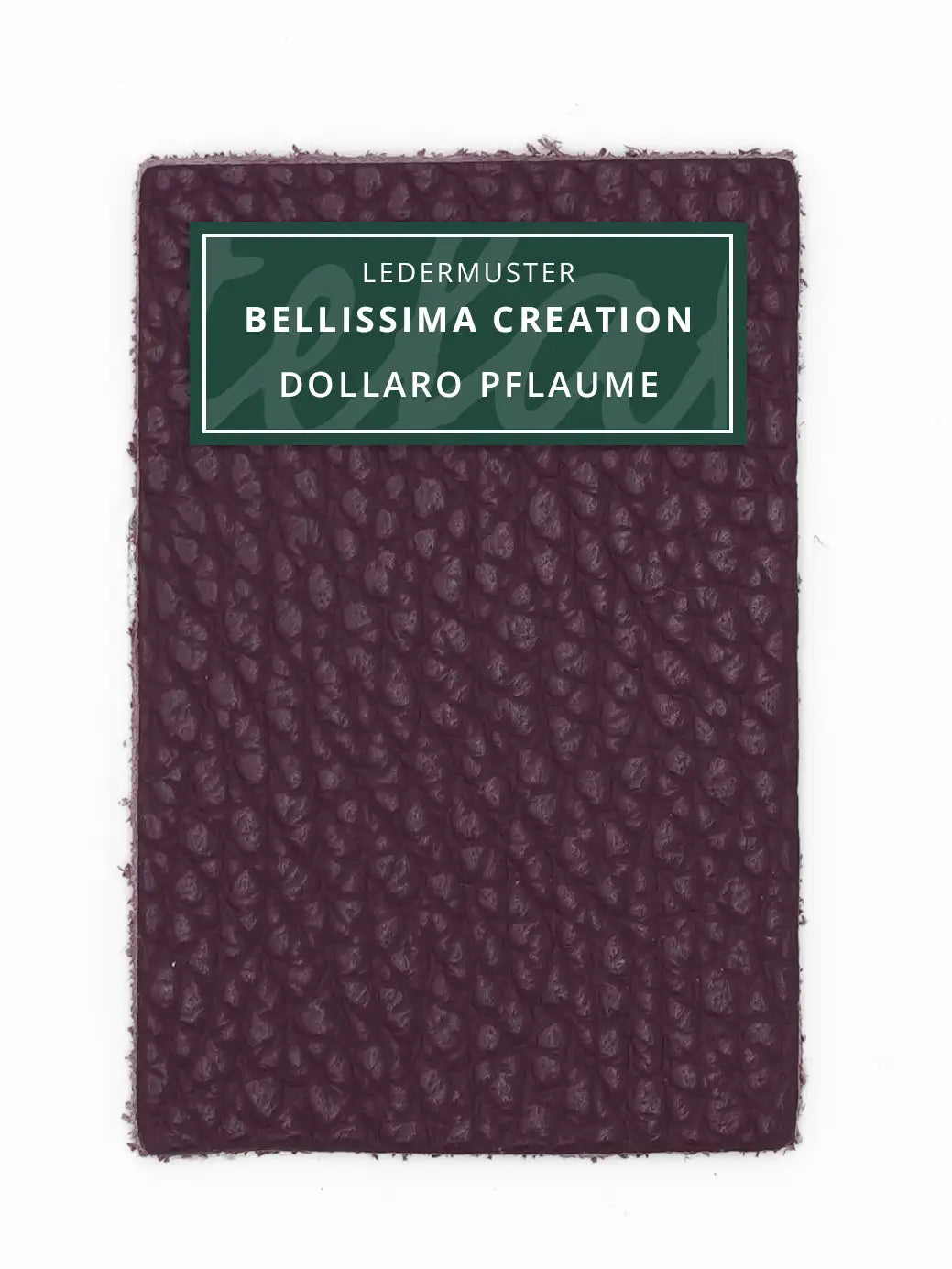 Bellissima Creation Geldbörse One 025/P