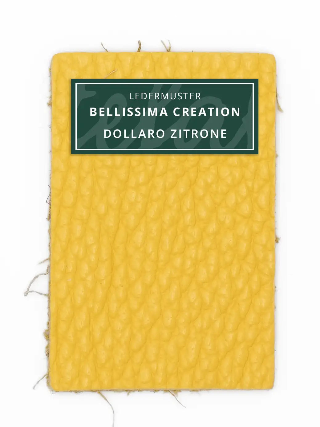 Bellissima Creation Geldbörse One 025/P