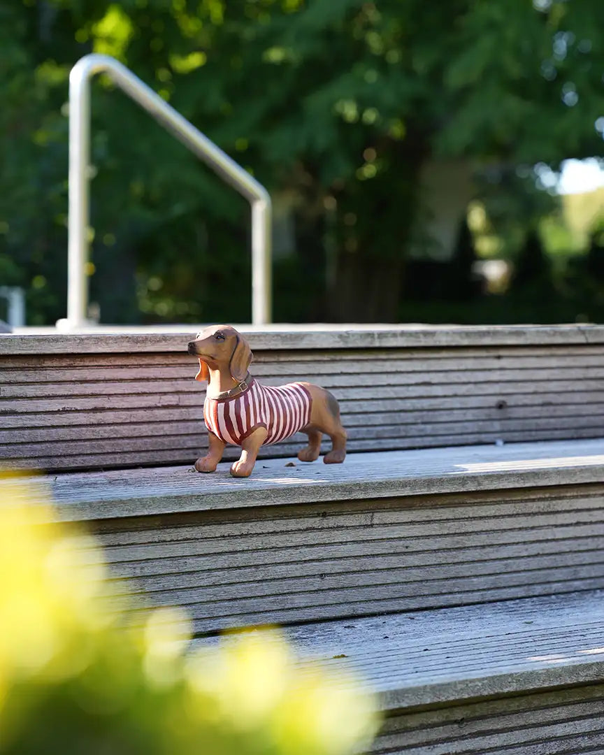 Dachshund - Dackel hand painted