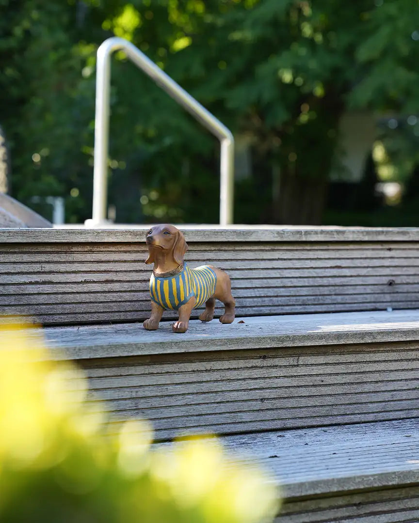 Dachshund - Dackel hand painted