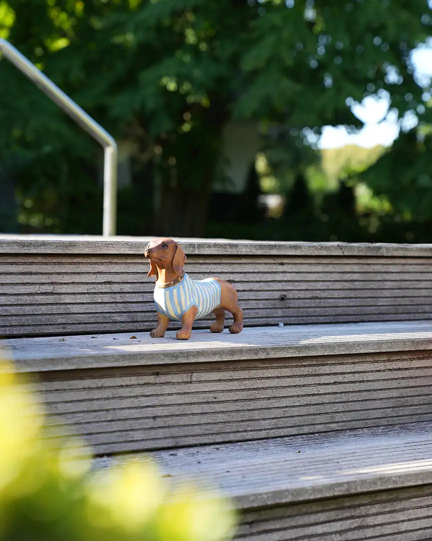 Dachshund - Dackel hand painted