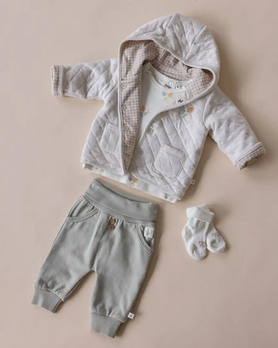 Feetje - Longsleeve Picnic Party - light green