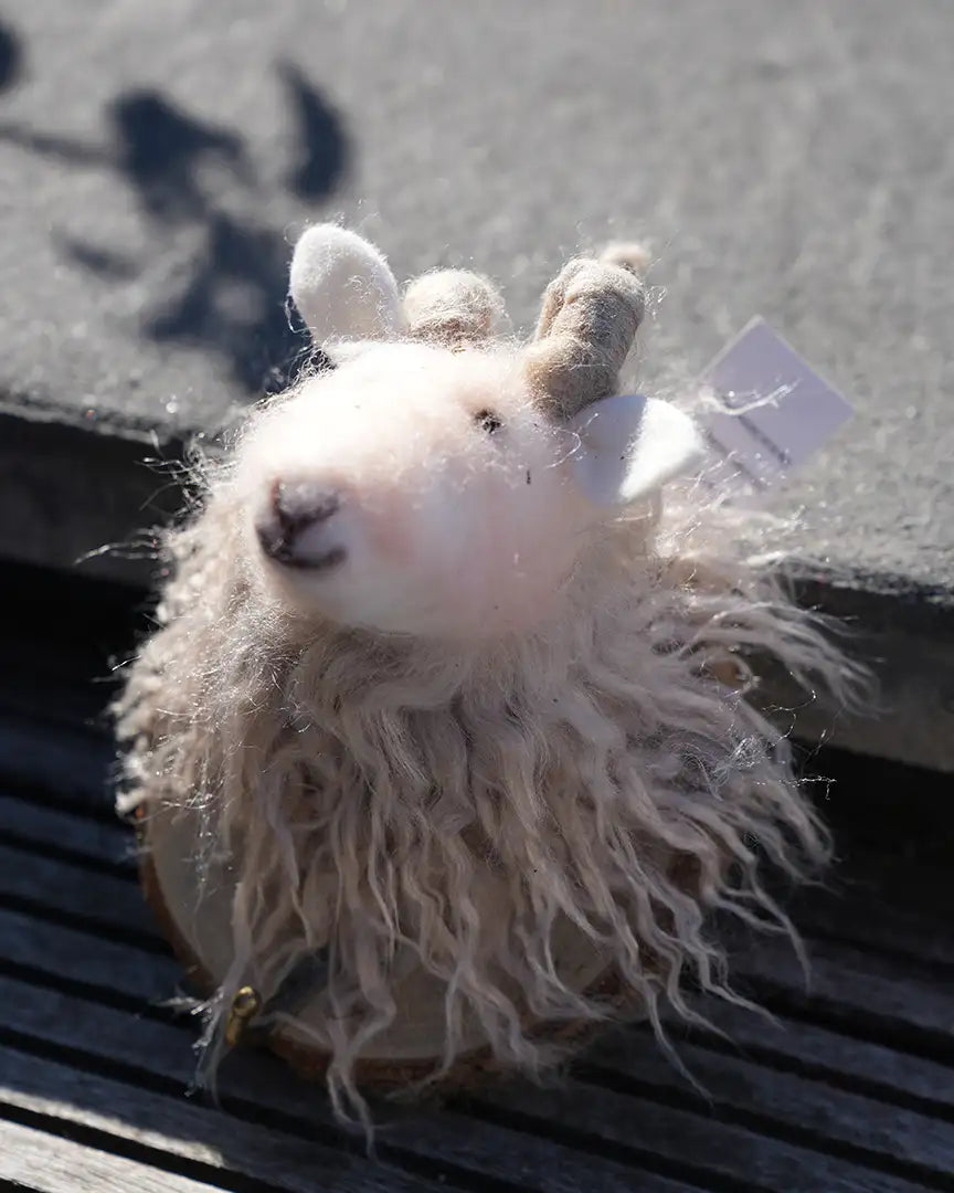 Wandhaken - zauberhafte Motive